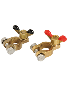 Coppia di morsetti in Ottone per batterie