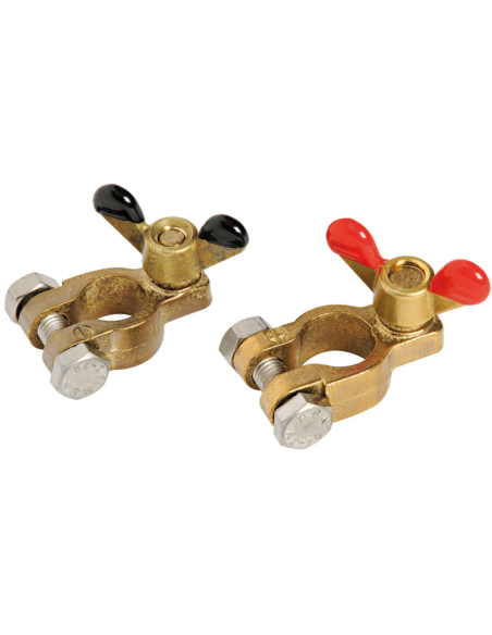 Coppia di morsetti in Ottone per batterie