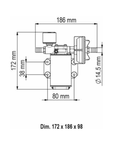 Pompa Marco UP3/E 12/24v autoclave con controllo elettronico 15 lt/min