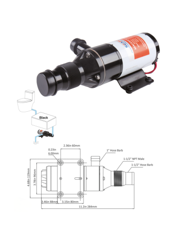 Pompa Maceratore WC Nautico 12V