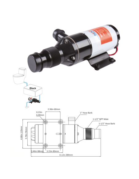 Pompa Maceratore WC Nautico 12V