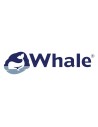 Whale